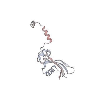13892_7qca_SY0_v1-2
Spraguea lophii ribosome
