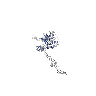 13896_7qcl_B_v1-1
Structure of the MUCIN-2 Cterminal domains