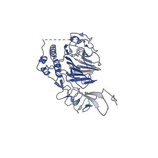 13897_7qcn_A_v1-0
Structure of the MUCIN-2 Cterminal domains: vWCN to TIL domains with a C2 symmetry
