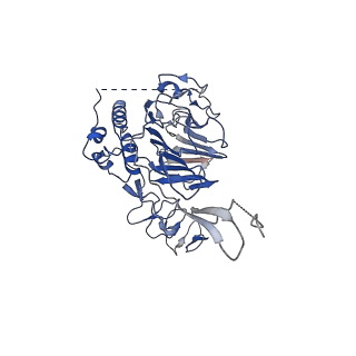 13897_7qcn_A_v1-1
Structure of the MUCIN-2 Cterminal domains: vWCN to TIL domains with a C2 symmetry