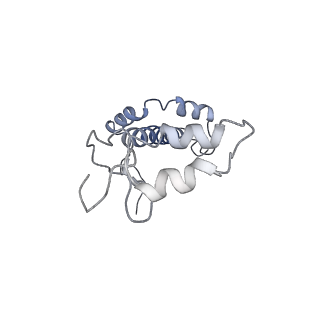 13898_7qco_F_v1-0
The structure of Photosystem I tetramer from Chroococcidiopsis TS-821, a thermophilic, unicellular, non-heterocyst-forming cyanobacterium