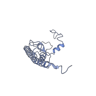 13898_7qco_L_v1-0
The structure of Photosystem I tetramer from Chroococcidiopsis TS-821, a thermophilic, unicellular, non-heterocyst-forming cyanobacterium