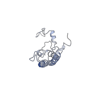13898_7qco_l_v1-0
The structure of Photosystem I tetramer from Chroococcidiopsis TS-821, a thermophilic, unicellular, non-heterocyst-forming cyanobacterium