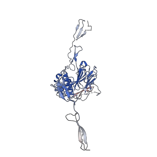 13899_7qcu_B_v1-0
Structure of the MUCIN-2 Cterminal domains partially deglycosylated.