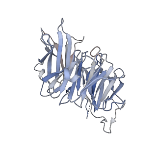 18326_8qca_D_v1-1
CryoEM structure of a S. Cerevisiae Ski2387 complex in the closed state bound to RNA