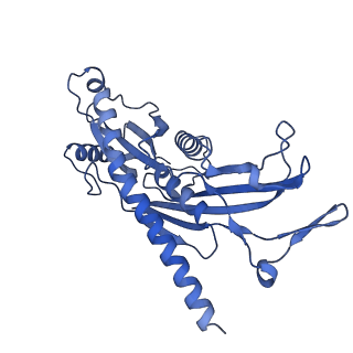18329_8qcf_B_v1-0
yeast cytoplasmic exosome-Ski2 complex degrading a RNA substrate