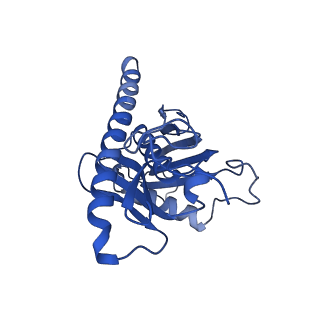 18329_8qcf_C_v1-0
yeast cytoplasmic exosome-Ski2 complex degrading a RNA substrate
