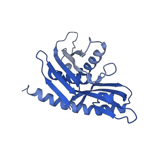 18329_8qcf_E_v1-0
yeast cytoplasmic exosome-Ski2 complex degrading a RNA substrate