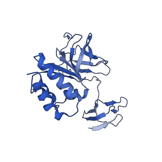 18329_8qcf_H_v1-0
yeast cytoplasmic exosome-Ski2 complex degrading a RNA substrate