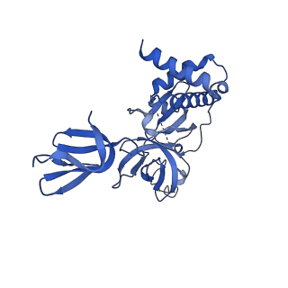 18329_8qcf_I_v1-0
yeast cytoplasmic exosome-Ski2 complex degrading a RNA substrate