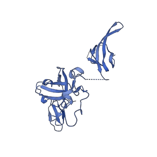 18329_8qcf_J_v1-0
yeast cytoplasmic exosome-Ski2 complex degrading a RNA substrate