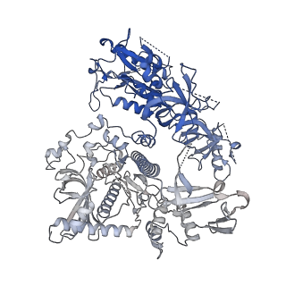 18329_8qcf_K_v1-0
yeast cytoplasmic exosome-Ski2 complex degrading a RNA substrate