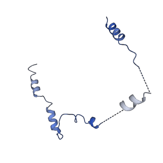 18329_8qcf_L_v1-0
yeast cytoplasmic exosome-Ski2 complex degrading a RNA substrate