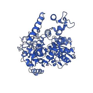 18329_8qcf_M_v1-0
yeast cytoplasmic exosome-Ski2 complex degrading a RNA substrate