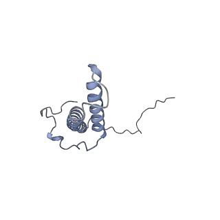 4495_6qc3_C2_v1-4
Ovine respiratory supercomplex I+III2 open class 1