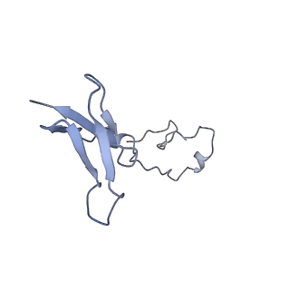 4498_6qc6_S6_v1-2
Ovine respiratory complex I FRC open class 1