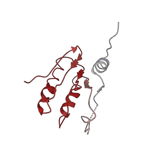 4508_6qcm_DC_v1-0
Cryo em structure of the Listeria stressosome