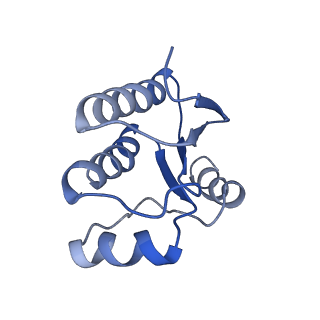 4508_6qcm_d_v1-0
Cryo em structure of the Listeria stressosome
