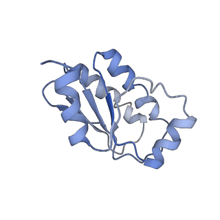 4508_6qcm_j_v1-0
Cryo em structure of the Listeria stressosome