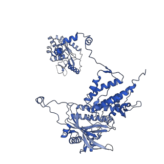 4511_6qcs_A_v1-4
Influenza B polymerase pre-initiation complex