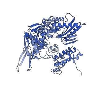 4511_6qcs_B_v1-4
Influenza B polymerase pre-initiation complex