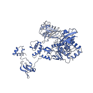 4511_6qcs_C_v1-4
Influenza B polymerase pre-initiation complex