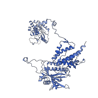 4512_6qct_A_v1-4
Influenza B polymerase elongation complex
