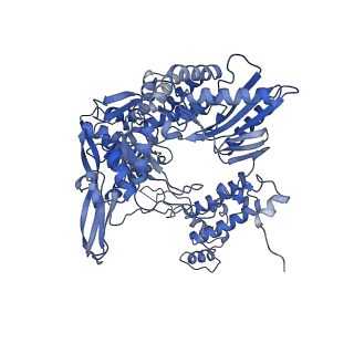 4512_6qct_B_v1-4
Influenza B polymerase elongation complex