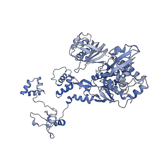 4512_6qct_C_v1-4
Influenza B polymerase elongation complex