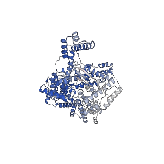 13906_7qd4_A_v1-0
Cryo-EM structure of Tn4430 TnpA transposase from Tn3 family in complex with 100 bp long transposon end DNA