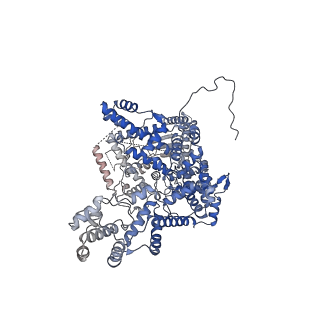 13908_7qd5_D_v1-0
Cryo-EM structure of Tn4430 TnpA transposase from Tn3 family in complex with 48 bp long transposon end DNA