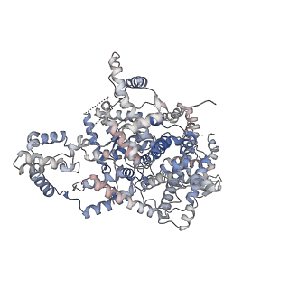 13910_7qd8_A_v1-0
Cryo-EM structure of Tn4430 TnpA transposase from Tn3 family in apo state