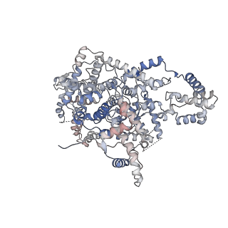 13910_7qd8_B_v1-0
Cryo-EM structure of Tn4430 TnpA transposase from Tn3 family in apo state