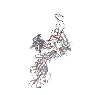 13919_7qdh_A_v1-1
SARS-CoV-2 S protein S:D614G mutant 1-up