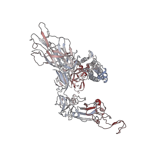 13919_7qdh_C_v1-1
SARS-CoV-2 S protein S:D614G mutant 1-up