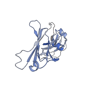 13922_7qdo_A_v1-1
Cryo-EM structure of human monomeric IgM-Fc