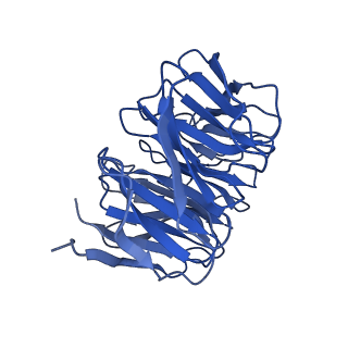 13927_7qdy_C_v1-2
RNA-bound human SKI complex