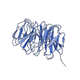 13927_7qdy_D_v1-2
RNA-bound human SKI complex