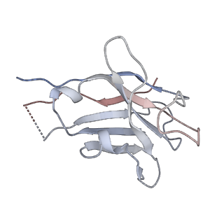 13930_7qe5_B_v1-1
Structure of the membrane domains of the sialic acid TRAP transporter HiSiaQM from Haemophilus influenzae