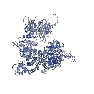 13931_7qe7_A_v1-0
High-resolution structure of the Anaphase-promoting complex/cyclosome (APC/C) bound to co-activator Cdh1