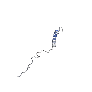 13931_7qe7_D_v1-0
High-resolution structure of the Anaphase-promoting complex/cyclosome (APC/C) bound to co-activator Cdh1