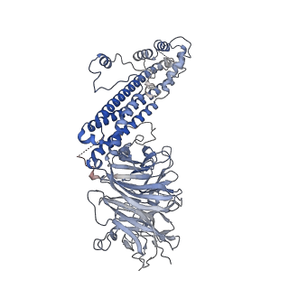 13931_7qe7_I_v1-0
High-resolution structure of the Anaphase-promoting complex/cyclosome (APC/C) bound to co-activator Cdh1
