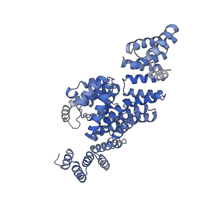 13931_7qe7_J_v1-0
High-resolution structure of the Anaphase-promoting complex/cyclosome (APC/C) bound to co-activator Cdh1