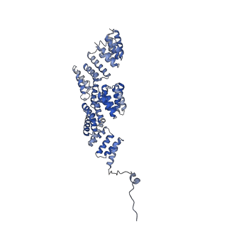 13931_7qe7_K_v1-0
High-resolution structure of the Anaphase-promoting complex/cyclosome (APC/C) bound to co-activator Cdh1