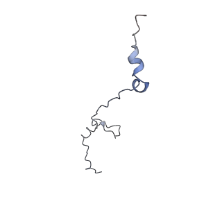 13931_7qe7_M_v1-0
High-resolution structure of the Anaphase-promoting complex/cyclosome (APC/C) bound to co-activator Cdh1