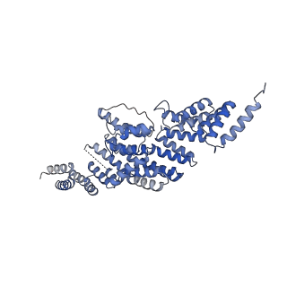 13931_7qe7_Q_v1-0
High-resolution structure of the Anaphase-promoting complex/cyclosome (APC/C) bound to co-activator Cdh1