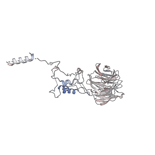 13931_7qe7_R_v1-0
High-resolution structure of the Anaphase-promoting complex/cyclosome (APC/C) bound to co-activator Cdh1