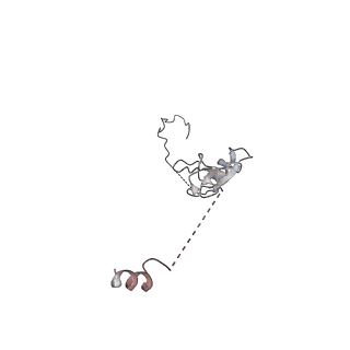 13931_7qe7_S_v1-0
High-resolution structure of the Anaphase-promoting complex/cyclosome (APC/C) bound to co-activator Cdh1