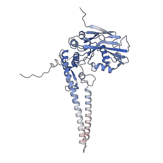 13934_7qen_B_v1-0
S.c. Condensin core in DNA- and ATP-bound state