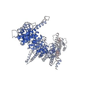 13934_7qen_D_v1-0
S.c. Condensin core in DNA- and ATP-bound state